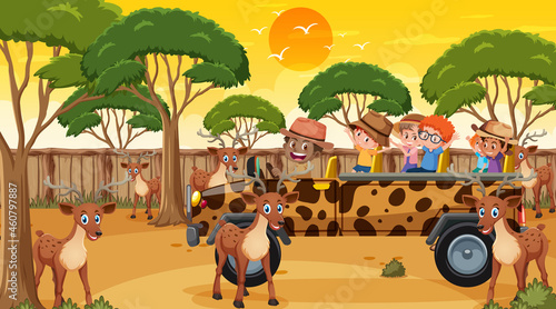 Safari at sunset time scene with many children watching deer group