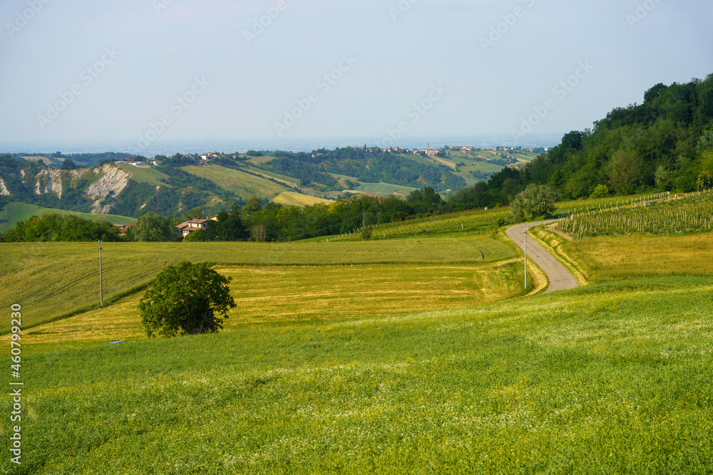 Rural landscape near Castell Arquato at springtime