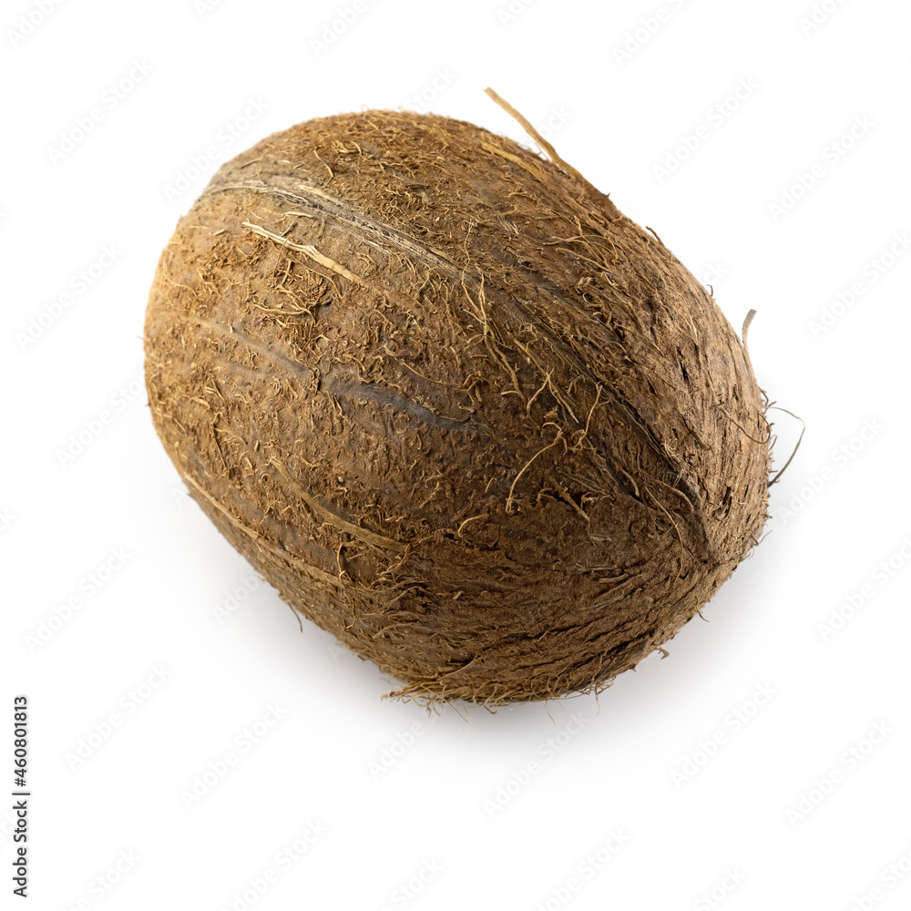 isolated image of coconut on white background close up isolated image of coconut on white background close up