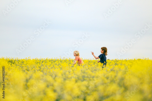 Boy playing in vibrant yellow canola field in full bloom