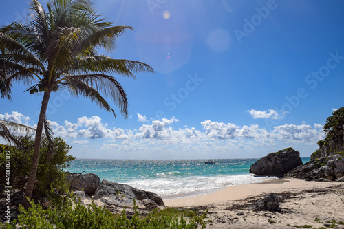a sunny day, with the sea calm. typical vegetation of the beaches and palm trees.