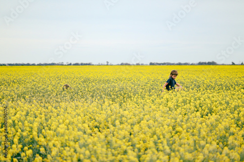 Boy playing in vibrant yellow canola field in full bloom