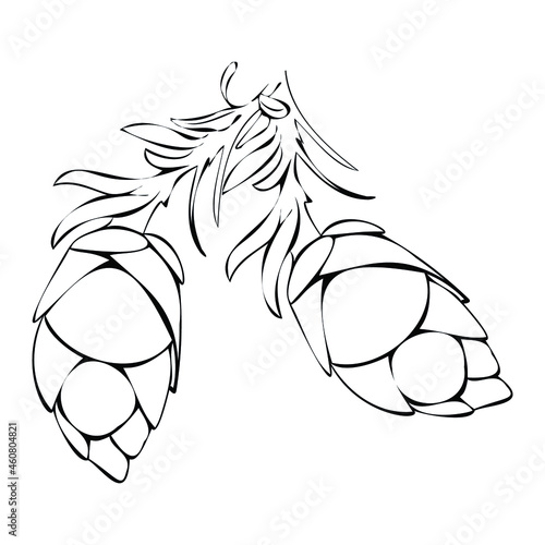 Vector twig with pine cones. The symbol of the new year. Pine cones as decor for Christmas crafts. Winter plant. Realistic picture of fir cones.
