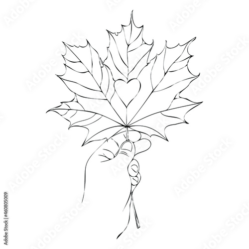 Vector illustration of a maple leaf. Hand drawing. Maple leaf in human hand print. Autumn element for composition.