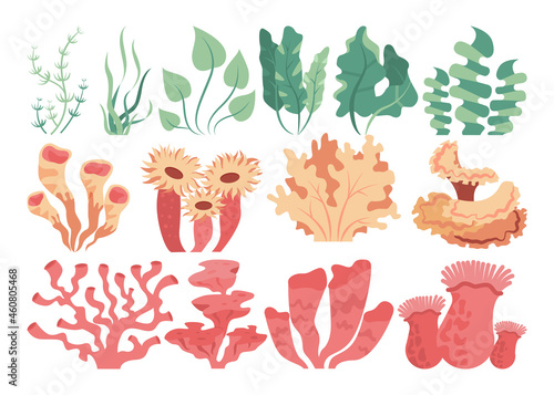Sea bottom corals and seaweed set. Beautiful underwater world animals
