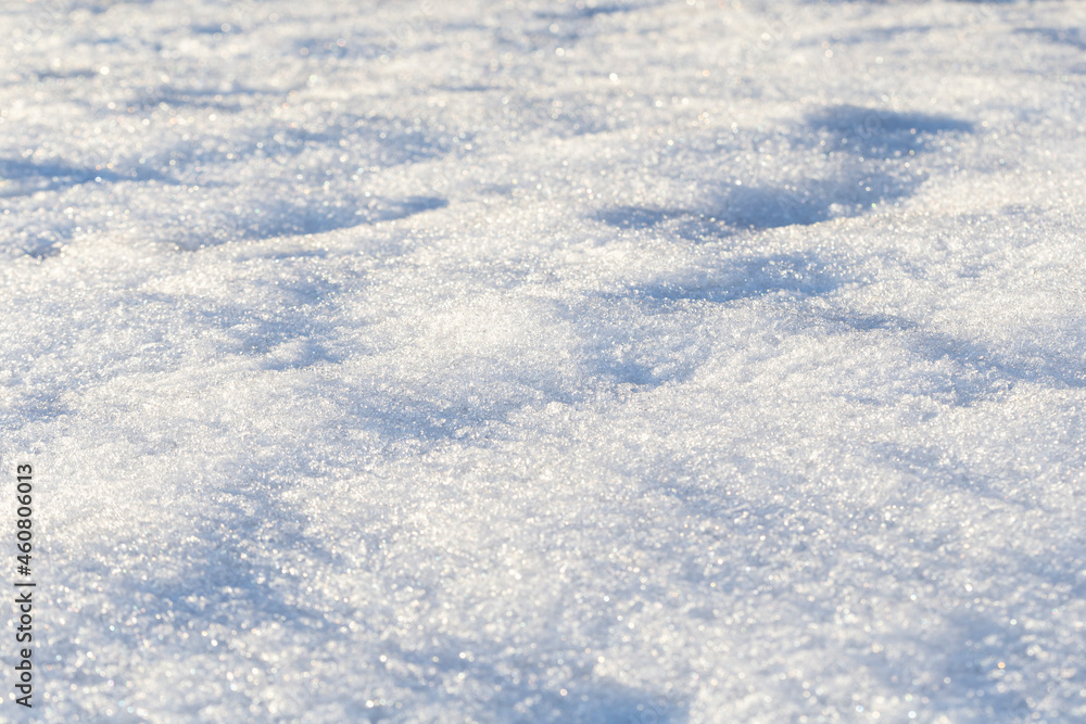 Close-up of fresh shiny snow on the ground on a sunny day. Good as a winter season background. Shallow depth of field. Close-up of fresh shiny snow on the ground on a sunny day. Good as a winter season background. Shallow depth of field.