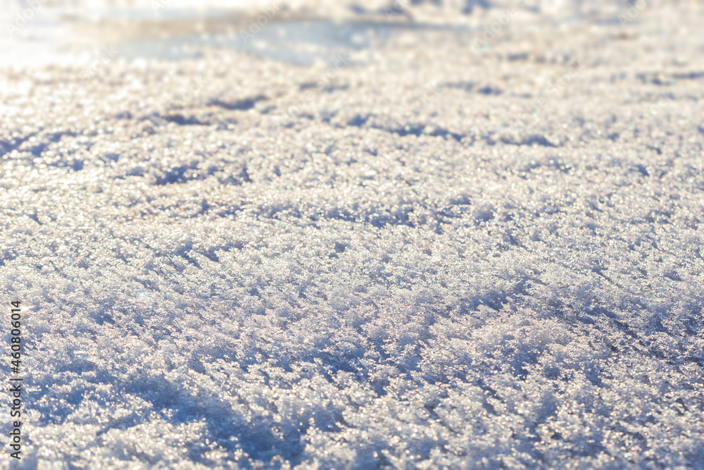Obraz premium Close-up of fresh shiny snow on the ground on a sunny day. Good as a winter season background. Shallow depth of field.