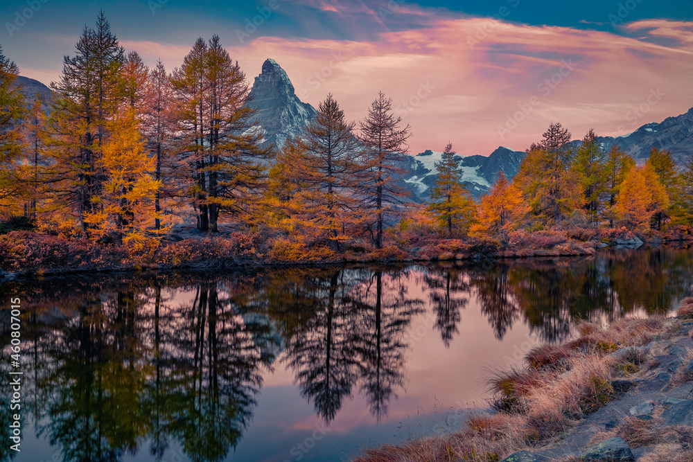 Orange larch trees on the coast of Grindjisee lake, Swiss Alps, Zermatt resort location. Amazing autumn scene of Switzerland, Europe. Gorgeous sunrise with Matterhorn (Cervino) peak on background. Orange larch trees on the coast of Grindjisee lake, Swiss Alps, Zermatt resort location. Amazing autumn scene of Switzerland, Europe. Gorgeous sunrise with Matterhorn (Cervino) peak on background.