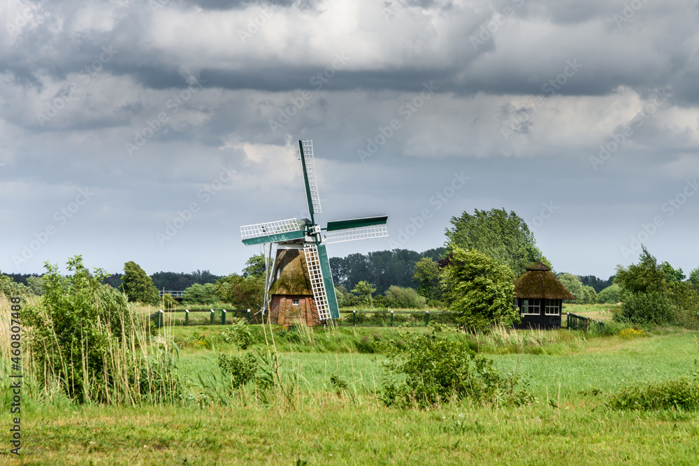 Naklejka premium Traditionelle Windmühle auf einem Feld in ländlicher Umgebung, Ostfriesland, Niedersachsen, Deutschland