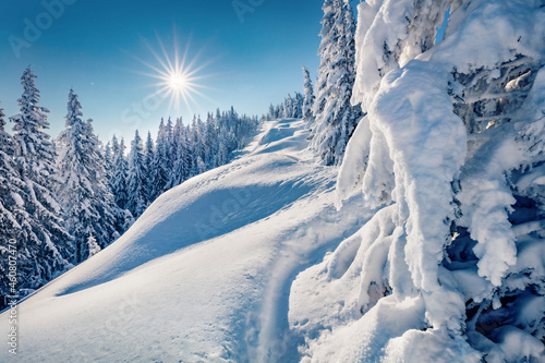 Beautiful winter scenery. Breathtaking outdoor scene of mountain valley. Fir trees covered by fresh snow in Carpathian mountains. Astonishing winter view with Pip Ivan summit, Ukraine, Europe. © Andrew Mayovskyy