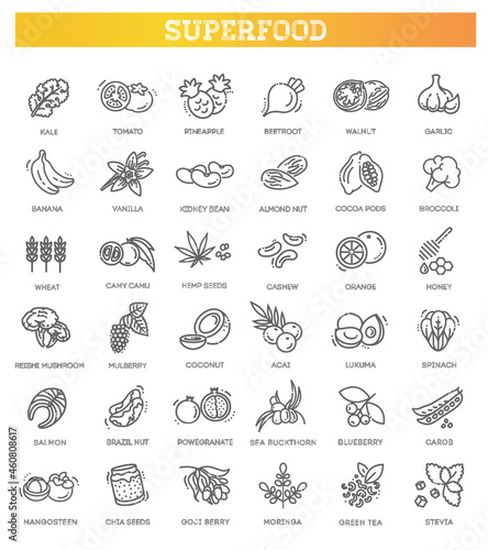 Superfoods line vector icons. Organic superfoods