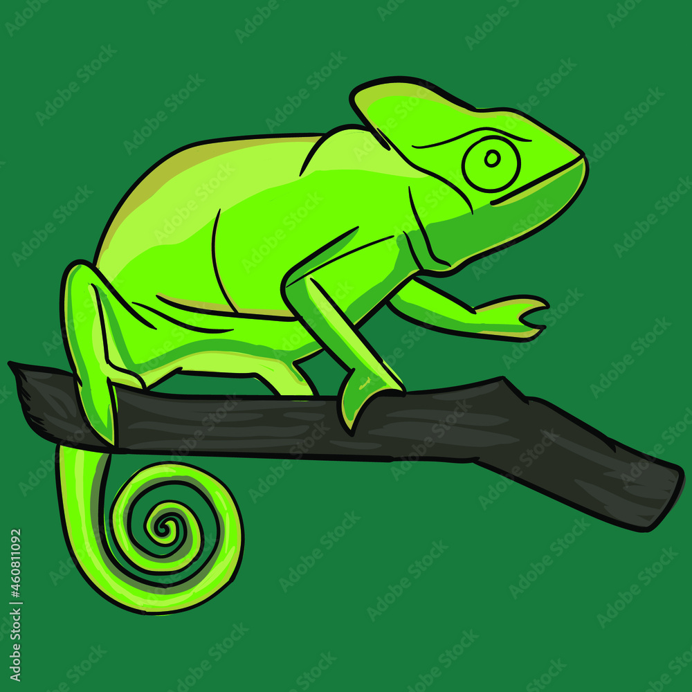 Obraz premium Yellow green Lizard Panther chameleon isolated on white background