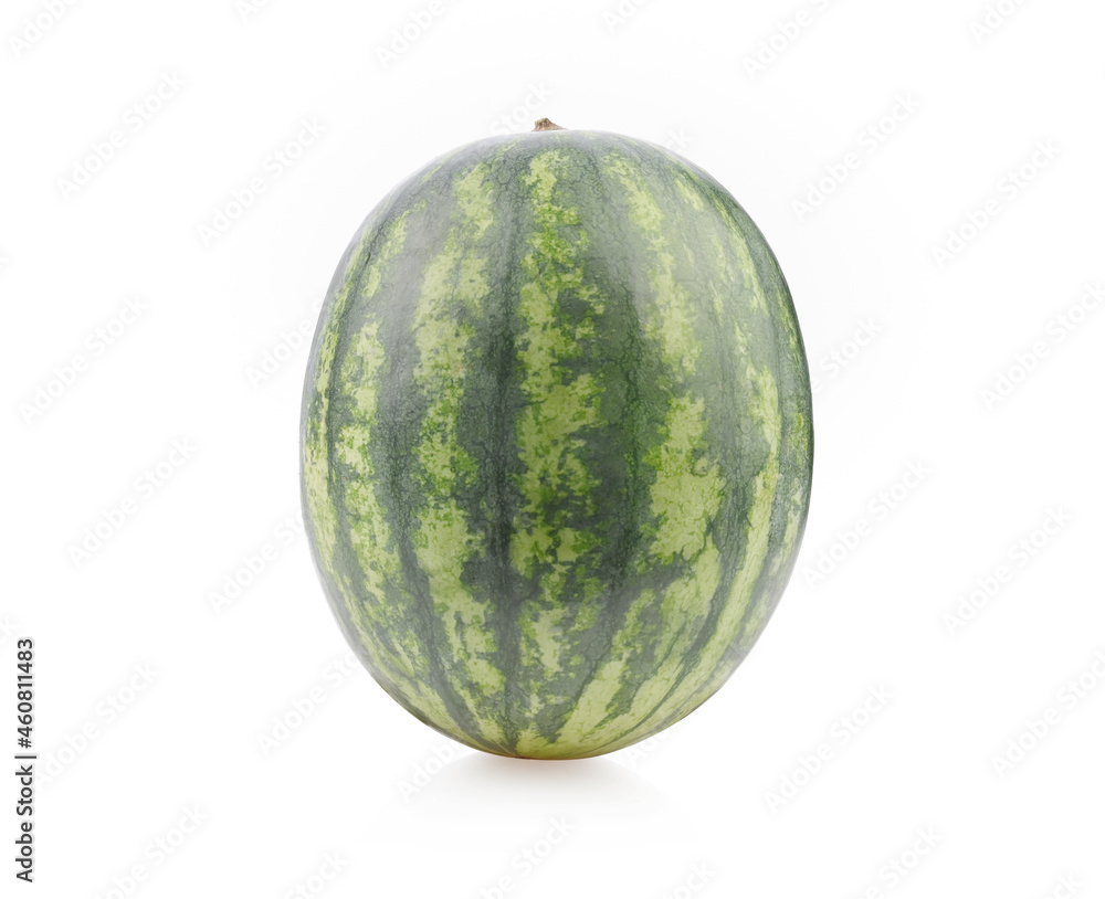 Sonya Watermelon on a white background Sonya Watermelon on a white background