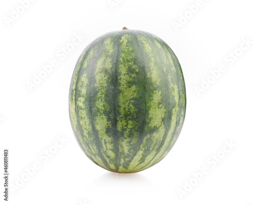 Sonya Watermelon on a white background