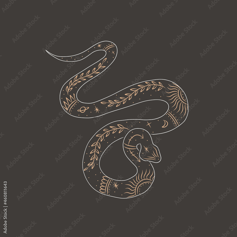 abstract illustration of a silhouette of the animal of the wild world. sacred geometry and celestial space bodies. bogemical of the sun and moon abstract illustration of a silhouette of the animal of the wild world. sacred geometry and celestial space bodies. bogemical of the sun and moon