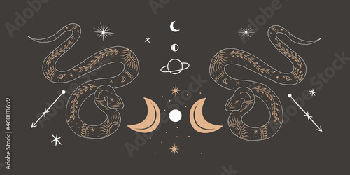 abstract illustration of a silhouette of the animal of the wild world. sacred geometry and celestial space bodies. bogemical of the sun and moon
