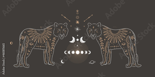 abstract illustration of a silhouette of the animal of the wild world. sacred geometry and celestial space bodies. bogemical of the sun and moon