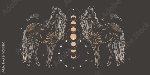 abstract illustration of a silhouette of the animal of the wild world. sacred geometry and celestial space bodies. bogemical of the sun and moon