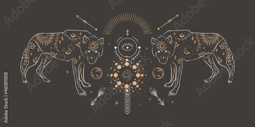 abstract illustration of a silhouette of the animal of the wild world. sacred geometry and celestial space bodies. bogemical of the sun and moon