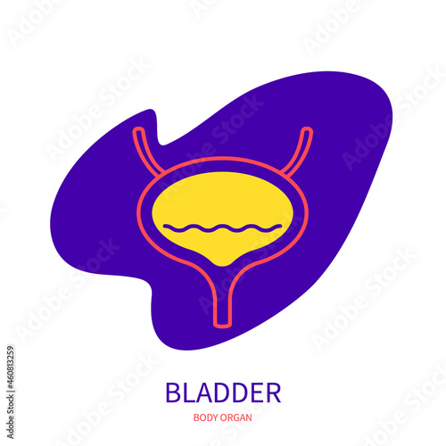 Bladder urinary system body organ outline icon on abstract geometric splash. Human anatomy medical symbol. Vector illustration.