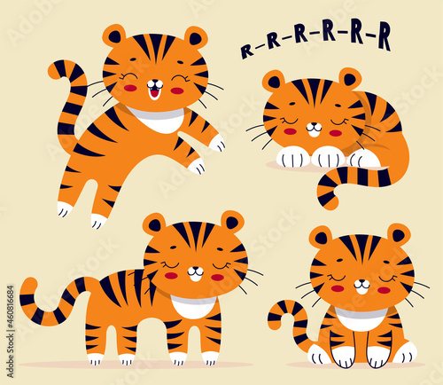 Fototapeta Naklejka Na Ścianę i Meble -  Set of Cute tigers, symbol of the Chinese 2022 new year. Wild animal. Traditional calendar, greeting card. Vector flat cartoon illustration. Decor for nursery, clothes