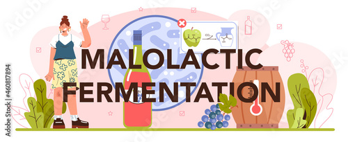 Malolactic fermentation typographic header. Wine production. Alcohol drink