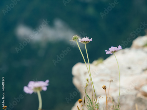 nature landscape mountains travel freedom