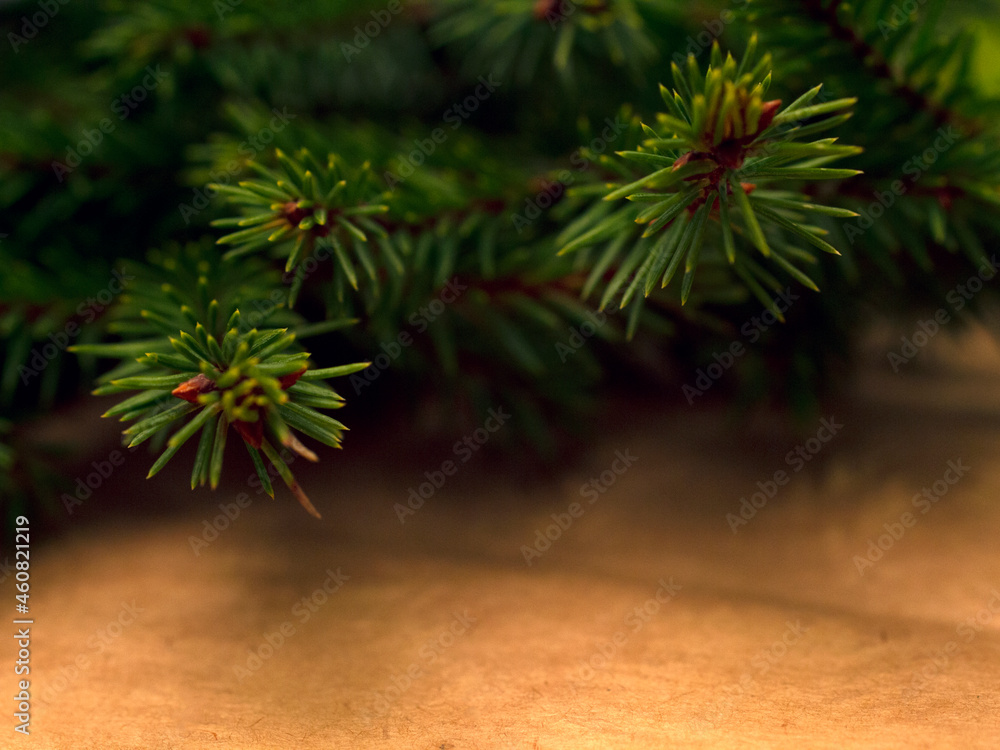 Craft christmas new year background with fir spruce branche. xmas card with copyspace Craft christmas new year background with fir spruce branche. xmas card with copyspace