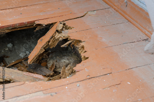 Damaged wooden floor of a residential building. Wooden boards ea