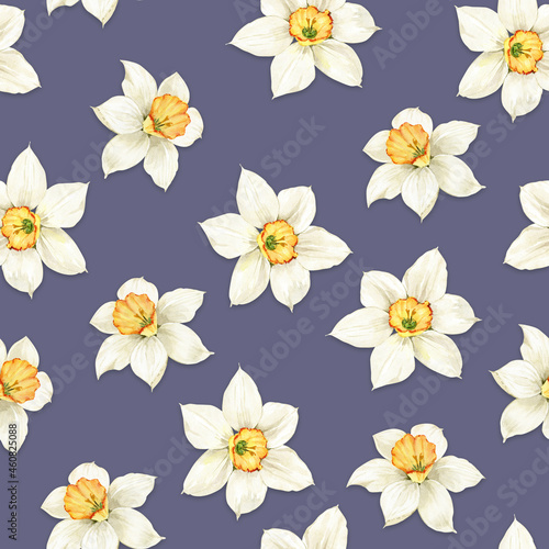 seamless pattern with white daffodil flowers on purple background, watercolor illustration © Lana