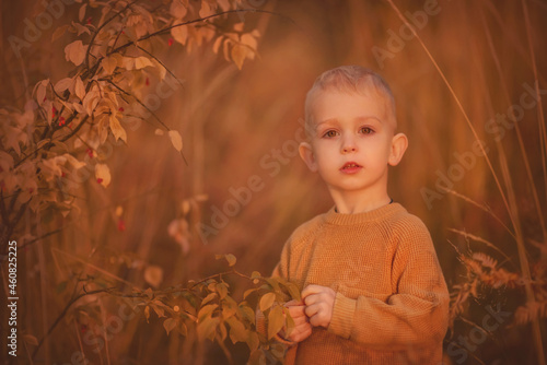 Autumn. Kid in autumn clothes. Portrait of a boy. On the Sunset
