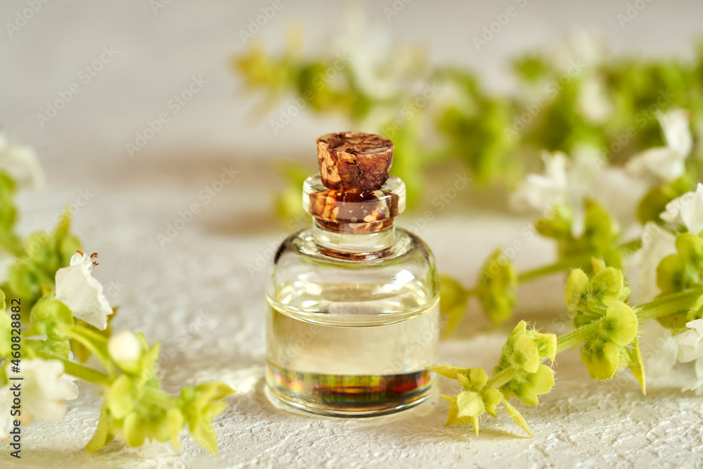 A bottle of basil essential oil with fresh blooming basil twigs A bottle of basil essential oil with fresh blooming basil twigs
