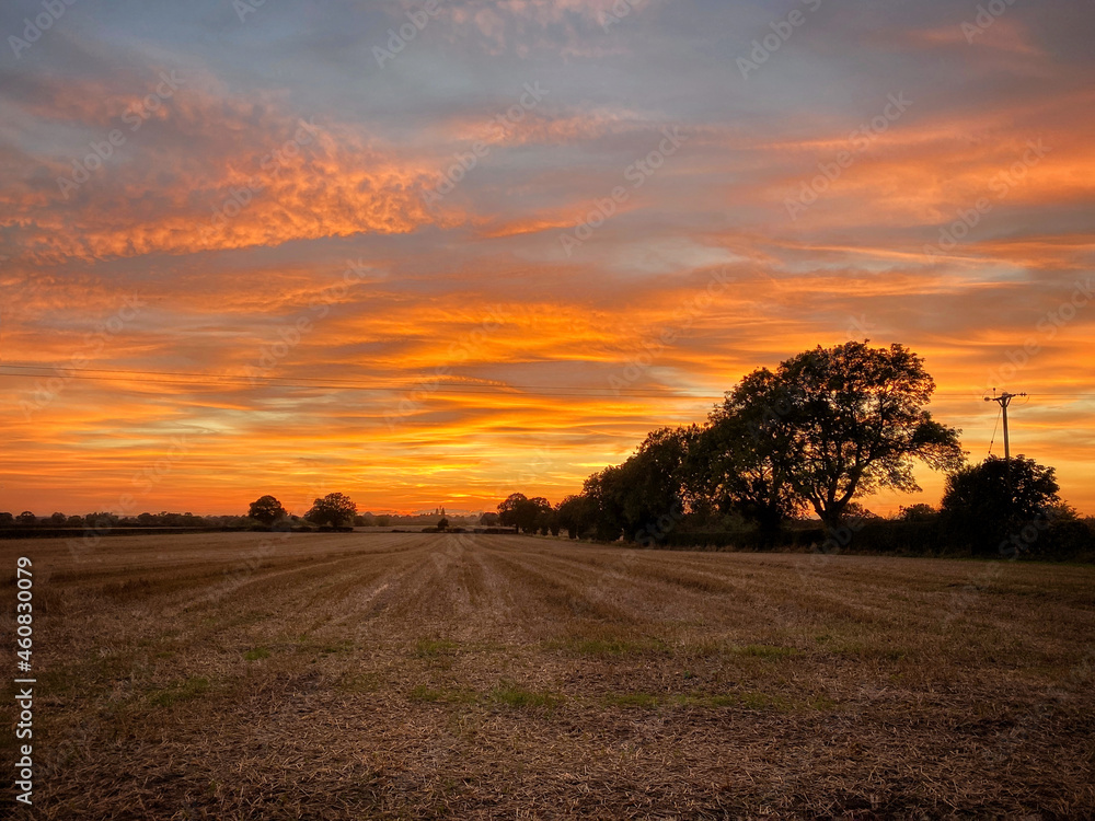 sunset over a stubble field