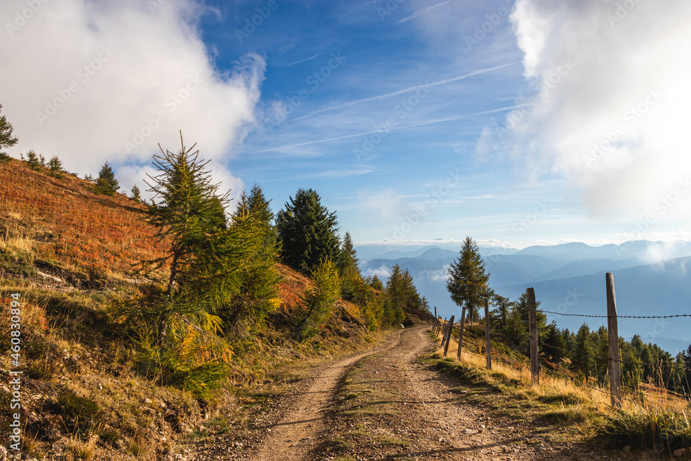 Naklejka premium Wanderweg auf der Millstätter Alpe; Kärnten