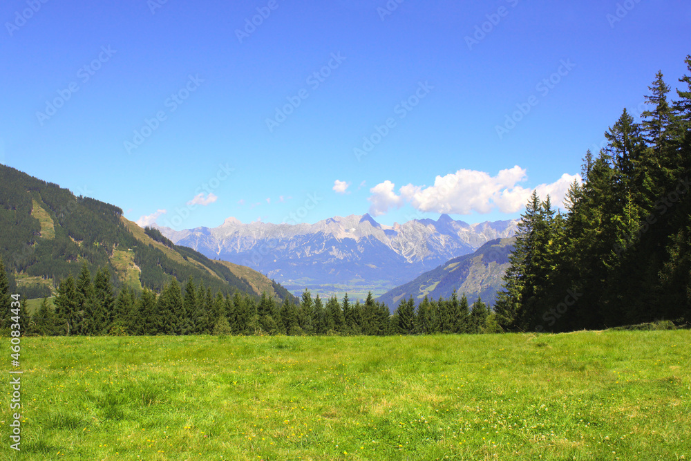 Fototapeta premium View of idyllic mountain scenery in the Alps, Austria