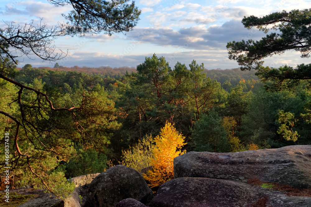 Fototapeta premium Autumn season in the Gorges of Franchard. fontainebleau forest
