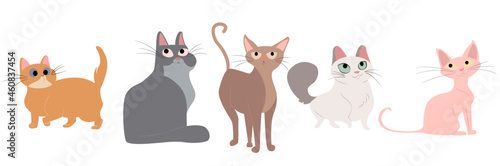cats