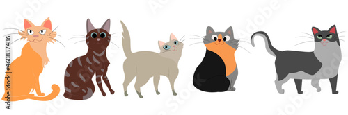 cats