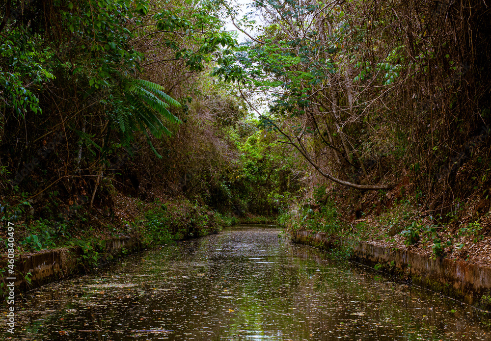 beautiful lake in southeastern brazil beautiful lake in southeastern brazil