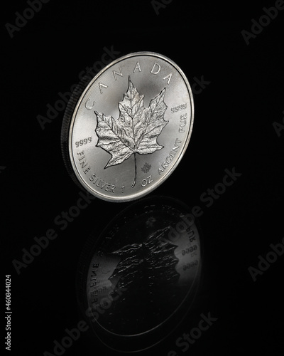 Canadian Maple Leaf 1oz .9999 Pure Silver Coin - Royal Canadian Mint © Neil