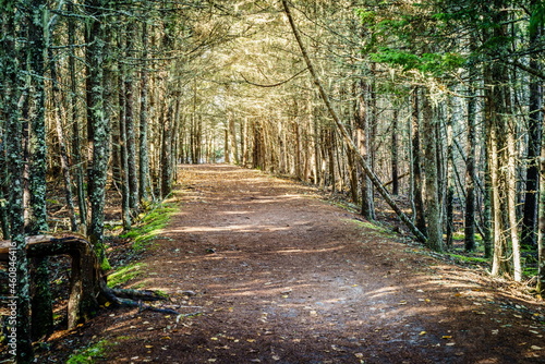 Obraz na plátně Carriage Road