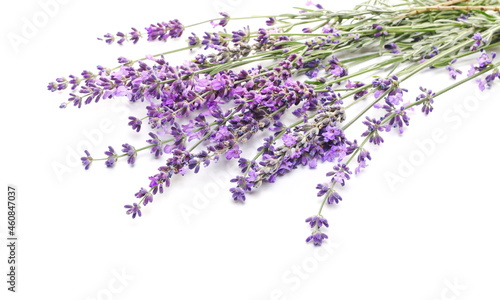 Fresh lavender purple flower isolated on white background