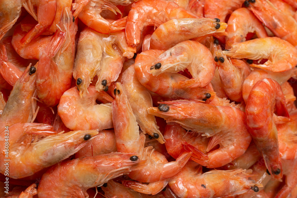 Shrimps background texture. A lot of shrimps. Cooked shrimps. Shrimps background texture. A lot of shrimps. Cooked shrimps.