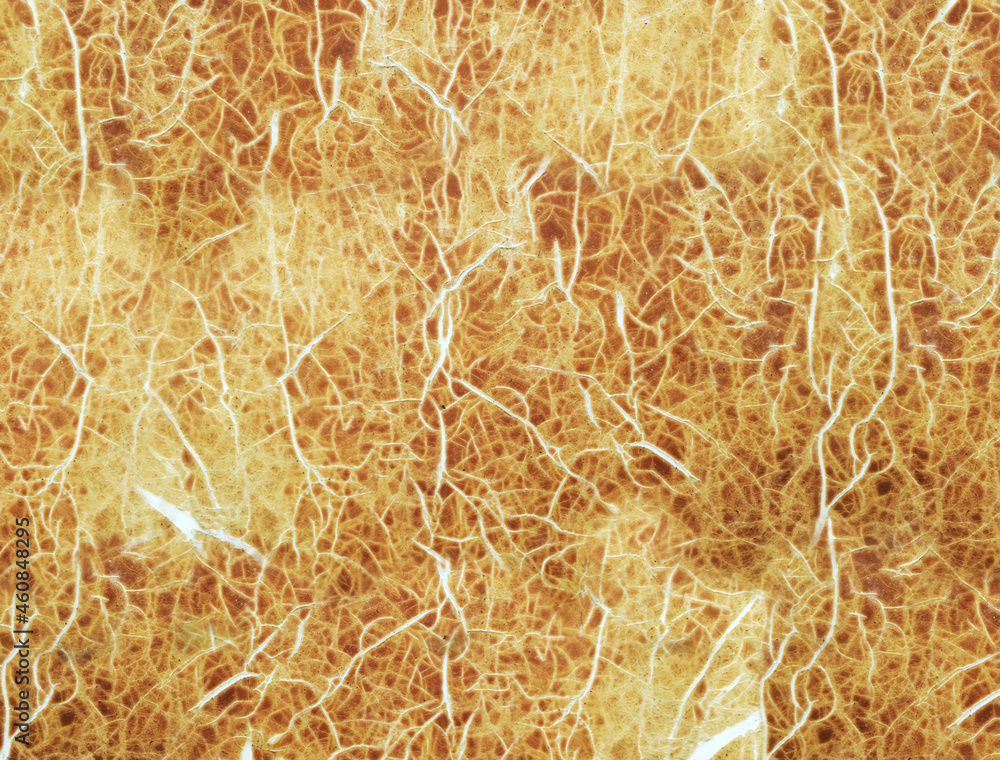 Obraz premium golden wheat field