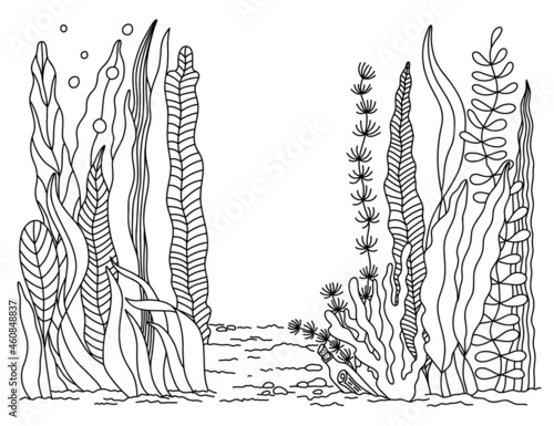 Outline Cartoon Seabed, coral reef with Seaweeds. Hand drawn Seascape. Wild Underwater world. Ocean plants, algae. Sea Life. Contour Marine vector illustration for print design, coloring book page