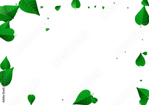 Olive Greens Flying Vector White Background