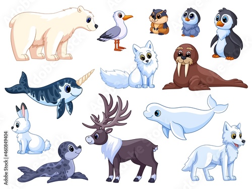 Polar animals. Antarctic mammals, isolated wildlife ocean. Funny arctic white bear, seabird, cute penguins and deer. Garish vector characters