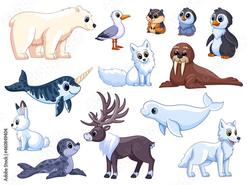 Polar animals. Antarctic mammals  isolated wildlife ocean. Funny arctic white bear  seabird  cute penguins and deer. Garish vector characters