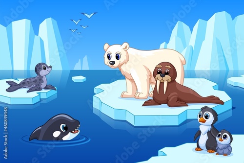 Arctic landscape. North pole glacier, polar bear seal and walrus on ice. Antarctica landscape, iceberg in ocean or sea. Winter freeze garish vector background