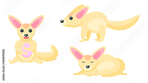 Set Abstract Collection Flat Cartoon Different Animal Fenech Stand, Sleeping, Eating An Egg Vector Design Style Elements Fauna Wildlife